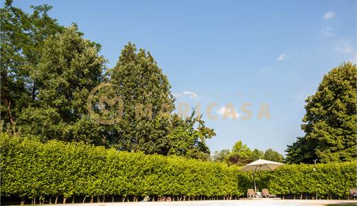 Prestigiosa villa indipendente con piscina